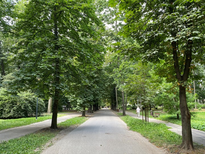 Kielce Park Staszica