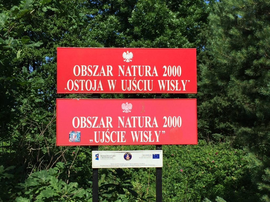 Mikoszewo - rezerwat