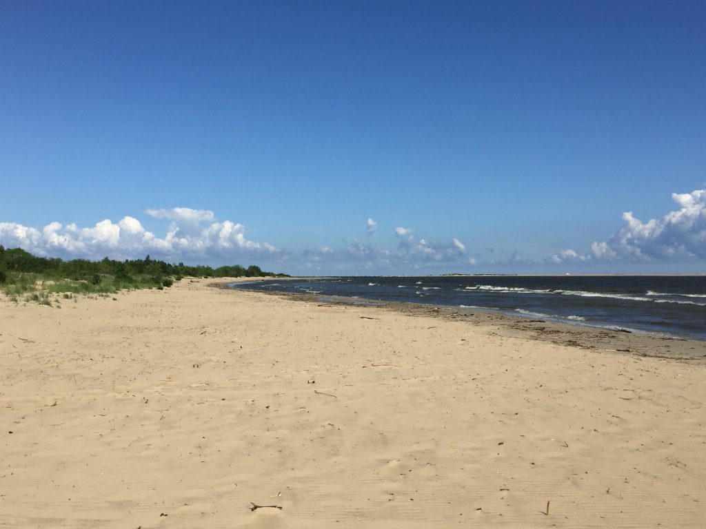 Mikoszewo - plaża