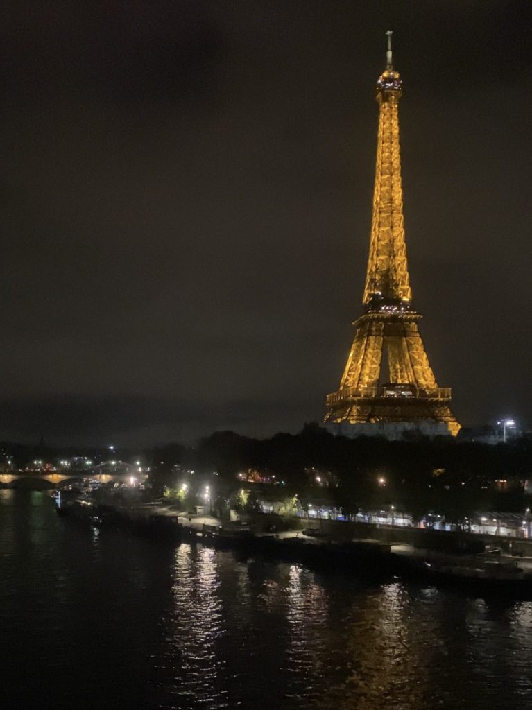 Wieża Eiffla - widok z metra w Paryżu
