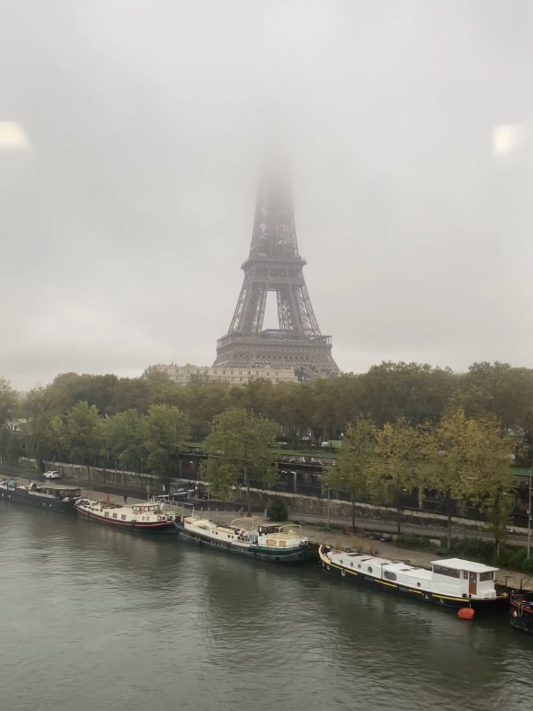 Wieża Eiffla - widok z metra w Paryżu