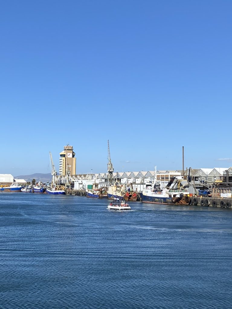port w Kapsztadzie