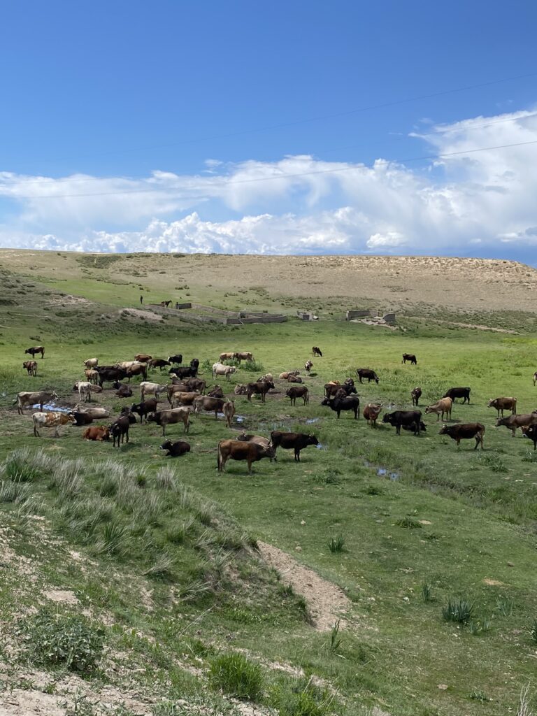 Jezioro Issyk-kul