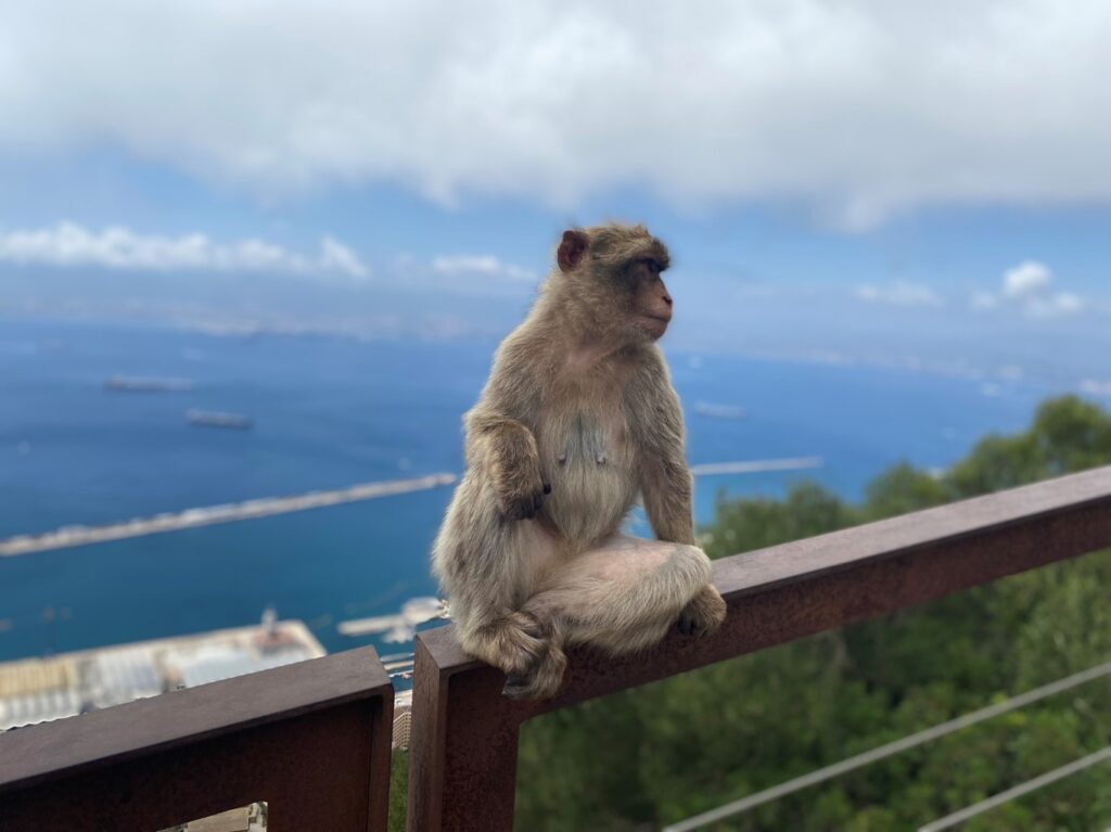 Gibraltar