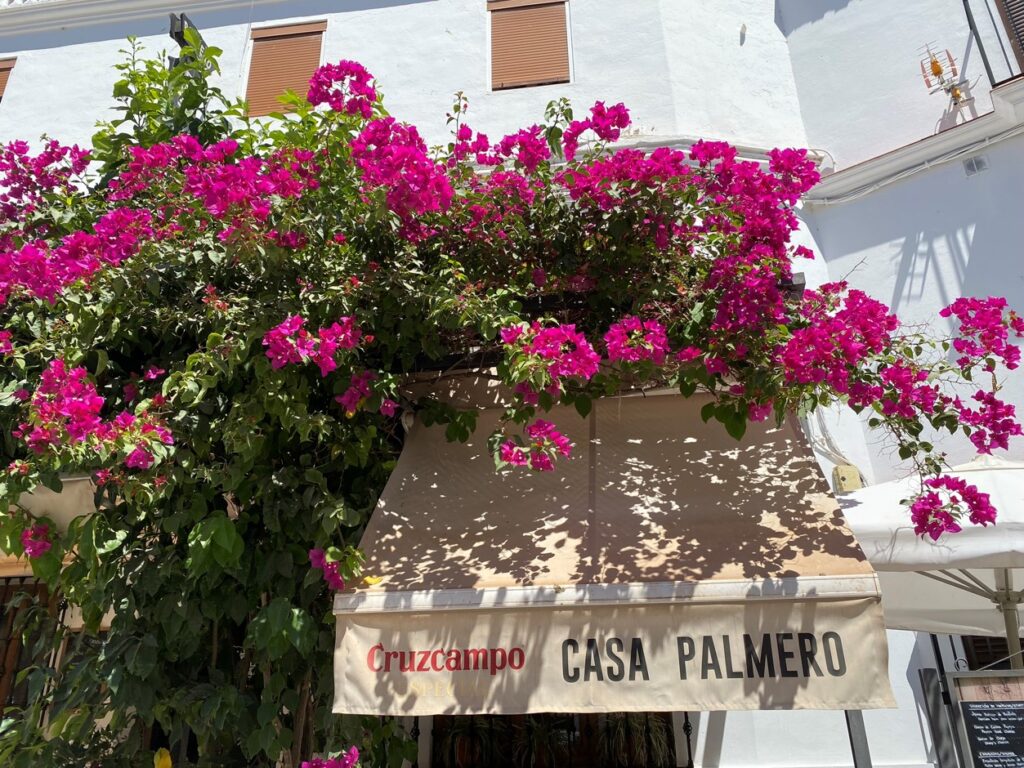 Setenil de las Bodegas