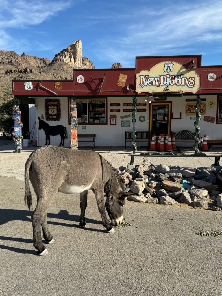 Route 66 - Oatman